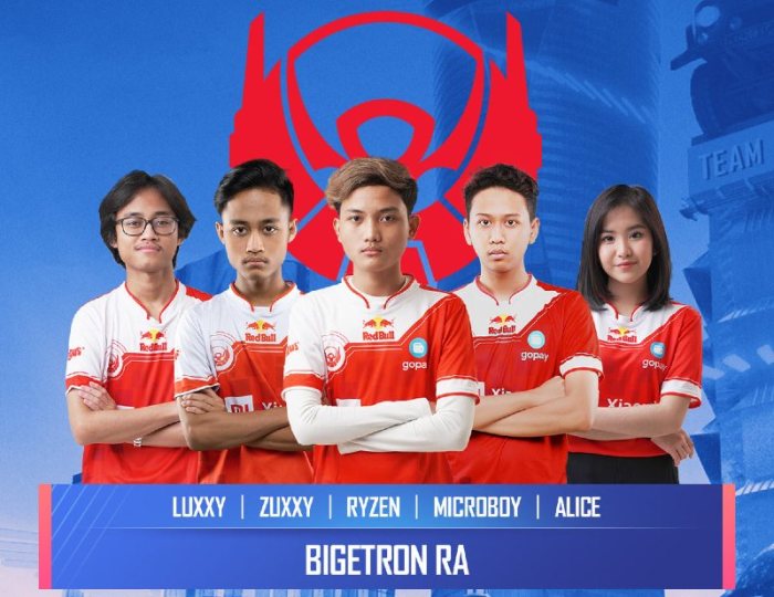 Asosiasi Esports Indonesia dan Perannya